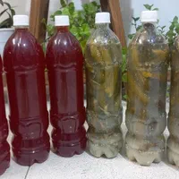 آبغوره و خیارشور