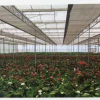 سازنده گلخانه های صنعتی و تامین نهاده های کشاورزی|خدمات باغبانی و درختکاری|کرج, فاز ۳ مهرشهر|دیوار