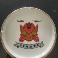 مدال و نشان هوانیروز