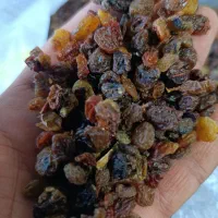 کشمش ابگیری