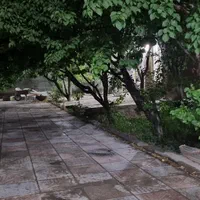 باغ و ویلا