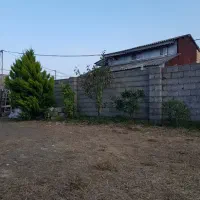 فروش زمین مسکونی با جواز ساخت در روستای رضا محله|فروش زمین و ملک کلنگی|کلاچای, |دیوار