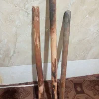 چوب جنگلی|کلکسیون و سرگرمی|زابل, |دیوار