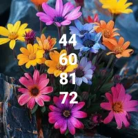 خط تلفن ثابت پیش شماره۴۴