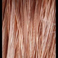 سمساری نسیم شهر|حراج|نسیم‌شهر, |دیوار