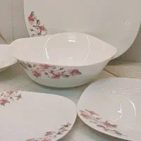 ظروف غذاخوری