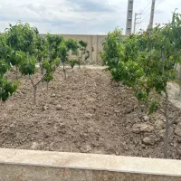 باغ-2000-متری