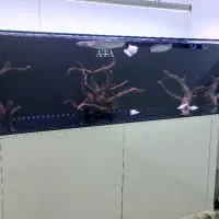 آکواریم ریملس با میز آهنی  روکش mdfوسامپ