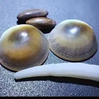 تضمینی مهره اصلی