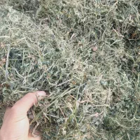 یونجه چین آخر|حیوانات مزرعه|دشتابی, |دیوار