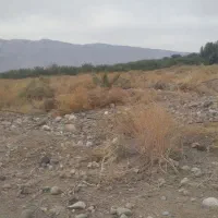 مفقودی تعدادی مدارک