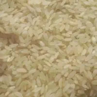 برنج کامفیروزی به شرط پخت