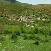 زمین سرسبز در مازندران