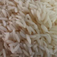فروش برنج درجه یک