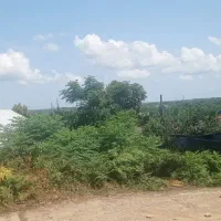 زمین ممتاز برای فروش