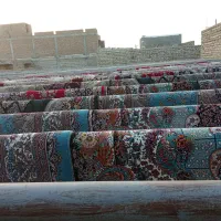 قالیشویی فرشینه|خدمات نظافت|ایرانشهر, |دیوار