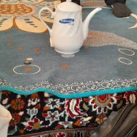 قوری برقی سالم