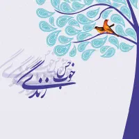 راهنمایی میکنم