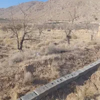 زمین 1000متری قابلیت تفکیک