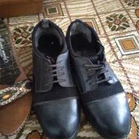 گفش زنانه|کیف، کفش، کمربند|خوی, |دیوار