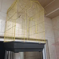 قفس پرنده سایز بزرگ