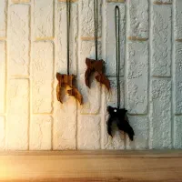 آویز چوبی ماشین