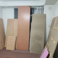 نوپان و طرح چوب سالم