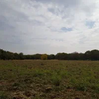 کارگر آبیار مسلط ماهر