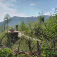 کلبه چوبی جنگلی دنج