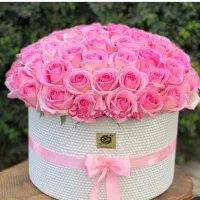 انجام پروژه های پایان نامه ارشد و دکترا