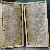 عسل با موم ارگانیک طبیعی