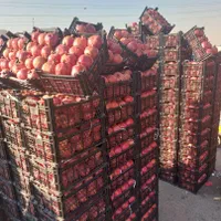 انار زرشک آلبالو زردآلو آلوجنگلی آبمیوه طبیعی|خوردنی و آشامیدنی|تهران, مولوی|دیوار