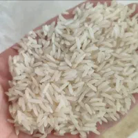 برنج هاشمی سورت و الک شده