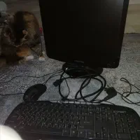 مانیتور کیبورد موس|رایانه رومیزی|تهران, پونک|دیوار