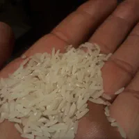 برنج هاشمی دره رود|خوردنی و آشامیدنی|دره رود, |دیوار