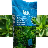 بذر یونجه جئا ایتالیایی