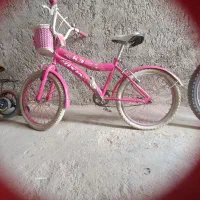 دوچرخه20دخترانه‌وچرخ12
