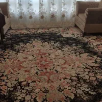 فرش|فرش|تنکابن, |دیوار