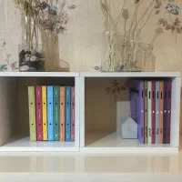 کتابخانه و شلف دیواری و رومیزی|کتابخانه، شلف، قفسه‌های دیواری|شیراز, ریشمک|دیوار