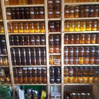 ژل رویال/گرده گل/بره موم/عسل ارگانیک+آنالیزصادراتی|خوردنی و آشامیدنی|تهران, ایرانشهر|دیوار