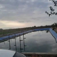 اجاره استخر پرورش ماهی