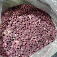 لپه نخود عدس . لوبیا قرمز|خوردنی و آشامیدنی|شیراز, اصلاح‌نژاد|دیوار