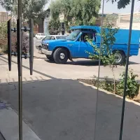 پیر ژاپن