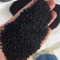 بذر سیاهدانه|خدمات باغبانی و درختکاری|بندر ترکمن, |دیوار