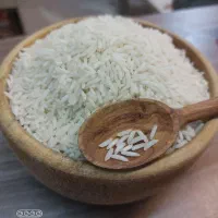 برنج شیرودی،فوق اعلا،شیرودی کشاورزی،خرد اش کمه