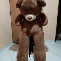 خرس بزرگ بزرگ