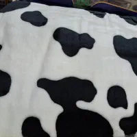 گلبافت دو نفره|رختخواب، بالش، پتو|خاوران, |دیوار