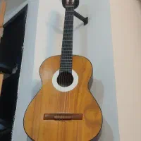 گیتار سالم