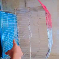 قفس پرنده