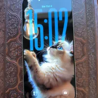 اپل iPhone 16 Pro Max با حافظهٔ ۲۵۶ گیگابایت|موبایل|شیراز, زرهی|دیوار